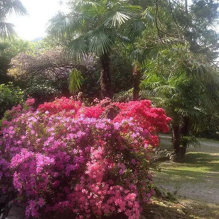 Daire La Casina *
