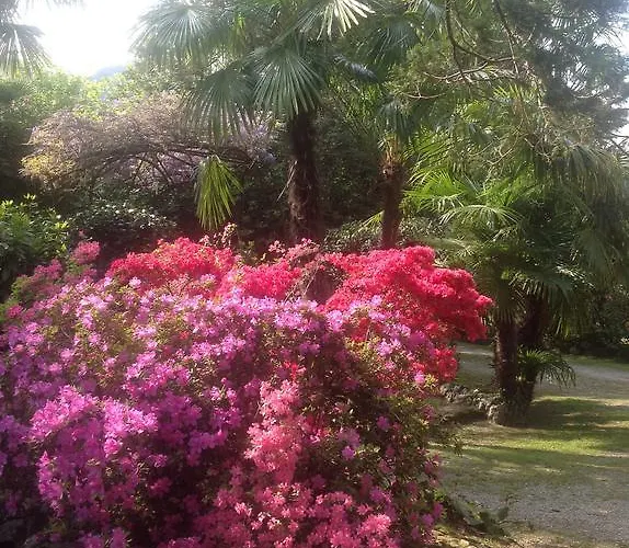 Apartmán La Casina *